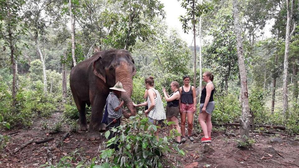 The Jungle Trek House By Dd&B Hostel Chiang Mai Esterno foto
